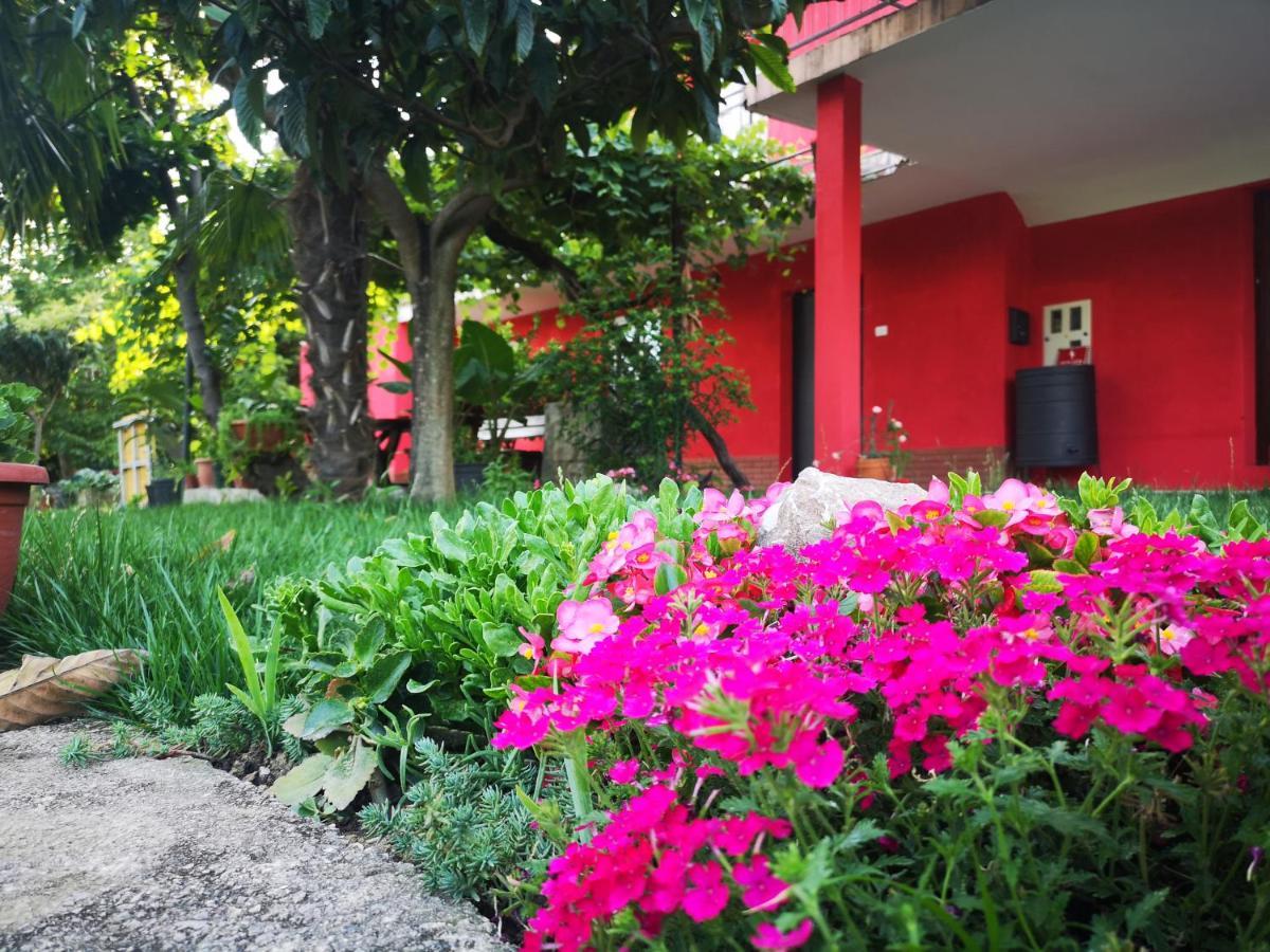 Apartments Zimerman Portoroz Ngoại thất bức ảnh